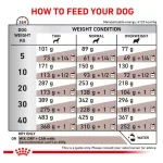 غذای خشک سگ بالغ رویال کنین گسترو مناسب مشکلات گوارشی وزن 2 کیلوگرم Royal Canin Gastro Intestinal - تصویر 6