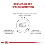 غذای خشک سگ بالغ رویال کنین گسترو مناسب مشکلات گوارشی وزن 2 کیلوگرم Royal Canin Gastro Intestinal - تصویر 3