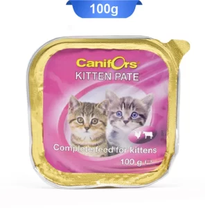 cani_fors_kitten