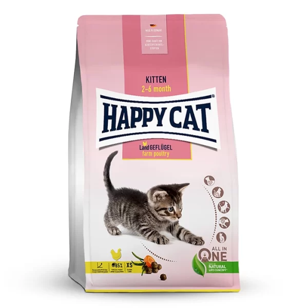 kitten_happy