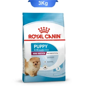 puppy_indoor