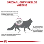 غذای خشک گربه بالغ رویال کنین رنال مدل مشکلات کلیوی طعم مرغ وزن 2 کیلوگرم Royal Canin Renal Cat - Image 7