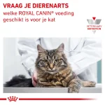 غذای خشک گربه بالغ رویال کنین رنال مدل مشکلات کلیوی طعم مرغ وزن 2 کیلوگرم Royal Canin Renal Cat - Image 8