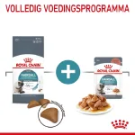 غذا خشک گربه بالغ رویال کنین مدل هیربال طعم مرغ وزن 2 کیلوگرم Royal Canin Hairball - Image 6