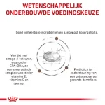 غذا خشک گربه بالغ رویال کنین مدل هپاتیک دارای مشکلات کبدی وزن 2 کیلوگرم Royal Canin Hepatic - Image 2