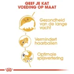 غذا خشک گربه بالغ پرشین رویال کنین طعم مرغ وزن 2 کیلوگرم Royal Canin Persian Adult - Image 7