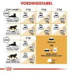غذا خشک گربه بالغ پرشین رویال کنین طعم مرغ وزن 2 کیلوگرم Royal Canin Persian Adult - Image 3