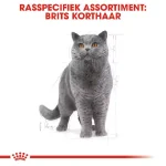 غذا خشک گربه بالغ رویال کنین نژاد بریتیش مو کوتاه طعم مرغ وزن 2 کیلوگرم Royal Canin British Shorthair - Image 6