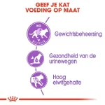 غذا خشک گربه عقیم رویال کنین مدل استرلایزد طعم مرغ وزن 2 کیلوگرم Royal Canin Sterilised - Image 4