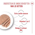 کنسرو گربه مادر و بچه گربه رویال کنین مادر اند بیبی وزن 195 گرم Royal Canin Mother & babycat - تصویر 4