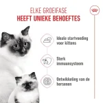 کنسرو گربه مادر و بچه گربه رویال کنین مادر اند بیبی وزن 195 گرم Royal Canin Mother & babycat - تصویر 5