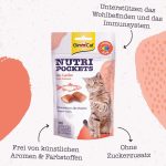 تشویقی گربه جیم کت طعم ماهی سالمون وزن 60 گرم GimCat Nutri Pockets - تصویر 3