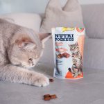 تشویقی گربه جیم کت طعم ماهی سالمون وزن 60 گرم GimCat Nutri Pockets - تصویر 6