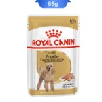 poodle_royall
