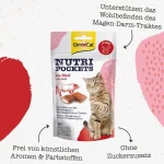 تشویقی گربه بالغ جیم کت طعم گوشت گاو وزن 60 گرم GimCat Nutri Pockets - تصویر 4