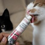 خمیر مالت گربه جیم کت طعم مرغ مدل آنتی هیربال وزن 50 گرم GimCat Duo Paste Anti Hairball - تصویر 6