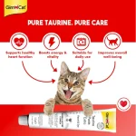 خمیر تائورین گربه جیم کت برای تقویت قلب و بینایی وزن 50 گرم GimCat Taurine Paste Extra - تصویر 3