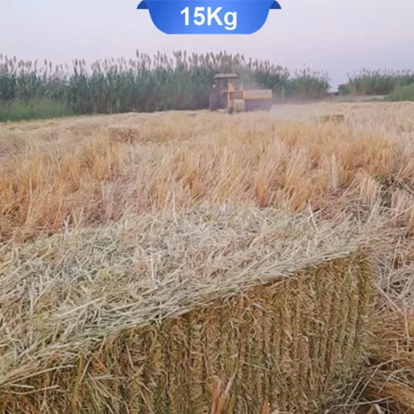 کاه و علوفه برنج برای جوندگان وزن 15 کیلوگرم - Image 1