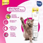 خمیر گربه جیم کت برای پوست حساس مدل درما وزن 50 گرم GimCat Derma Paste - تصویر 4