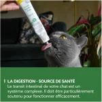 خمیر گربه جیم کت برای دستگاه گوارش حساس مدل گسترو اینتستینال وزن 50 گرم GimCat Gastro Intestinal Digestion - تصویر 3
