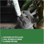 خمیر گربه جیم کت برای دستگاه گوارش حساس مدل گسترو اینتستینال وزن 50 گرم GimCat Gastro Intestinal Digestion - تصویر 4