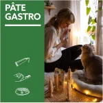 خمیر گربه جیم کت برای دستگاه گوارش حساس مدل گسترو اینتستینال وزن 50 گرم GimCat Gastro Intestinal Digestion - تصویر 6
