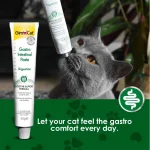 خمیر گربه جیم کت برای دستگاه گوارش حساس مدل گسترو اینتستینال وزن 50 گرم GimCat Gastro Intestinal Digestion - تصویر 12