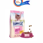 غذای خشک هپی کت جونیور طعم مرغ