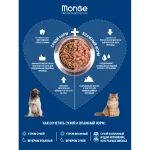 غذای خشک گربه بالغ مونژه یورینری سوپرپریمیوم وزن 1/5 کیلوگرم Monge Urinary - تصویر 11
