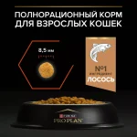 غذا خشک گربه پروپلن ویتال فانکشن طعم سالمون وزن 1.5 کیلوگرم Proplan Vital Functions - تصویر 3