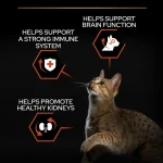 غذا خشک گربه پروپلن ویتال فانکشن طعم سالمون وزن 1.5 کیلوگرم Proplan Vital Functions - تصویر 13