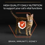 غذا خشک گربه پروپلن ویتال فانکشن طعم سالمون وزن 1.5 کیلوگرم Proplan Vital Functions - تصویر 14