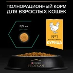 غذای خشک گربه پروپلن بالغ رنال پلاس طعم مرغ وزن 1.5 کیلوگرم ProPlan Adult Renal Plus - تصویر 2