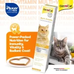 خمیر مولتی ویتامین گربه جیم کت برای تقویت سیستم ایمنی وزن 50 گرم GimCat Multi Vitamin Professional - تصویر 7