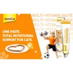 خمیر مولتی ویتامین گربه جیم کت برای تقویت سیستم ایمنی وزن 50 گرم GimCat Multi Vitamin Professional - تصویر 8