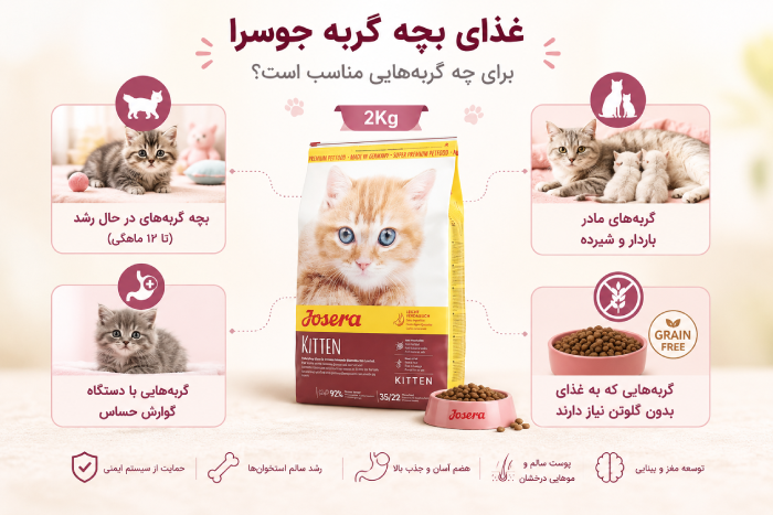 قیمت جوسرا کیتن 2 کیلویی
