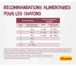 غذای خشک بچه گربه جوسرا کیتن وزن 2 کیلوگرم Josera Kitten - Image 5