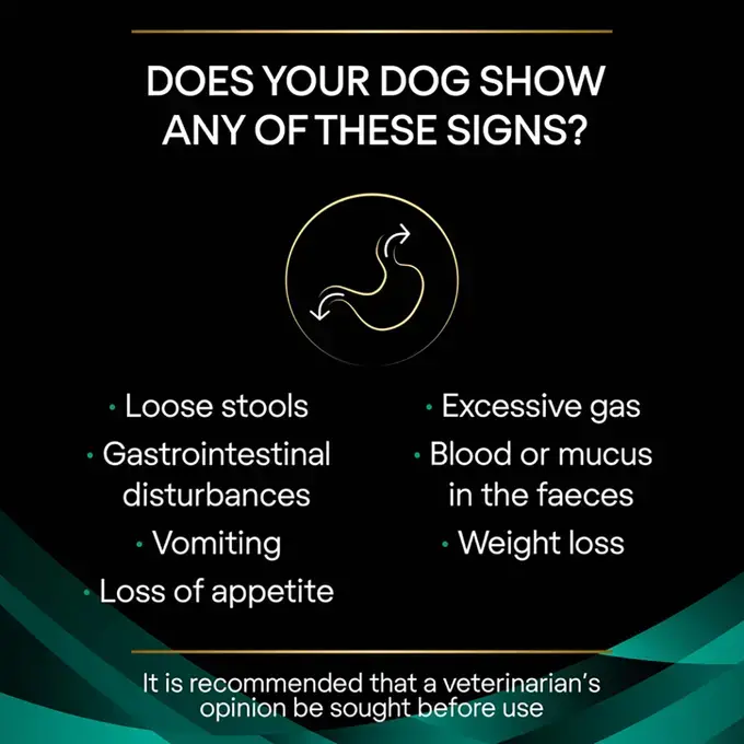 Pro_Plan_Veterinary_Diets_Canine_EN_Gastrointestinal_Dry_Food_5kg_61png_1080x1080.png غذا خشک سگ پروپلن مدل گاسترو طعم مرغ وزن 1.5 کیلوگرم ProPlan Gastroenteric - Image 2