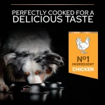 غذا خشک سگ بالغ عقیم پروپلن طعم مرغ (زیپ کیپ فله) Proplan Sterilised All Size - تصویر 5