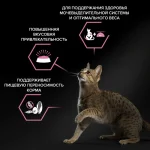 غذا خشک پروپلن گربه بالغ عقیم دلیکیت دایجستشن طعم مرغ وزن 1 کیلوگرم (فله ای) ProPlan Delicate Digestion - تصویر 5