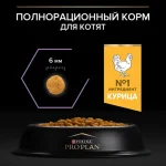 غذا خشک بچه گربه پروپلن (کیتن) طعم مرغ وزن 10 کیلوگرم ProPlan Kitten Healthy Start - تصویر 10