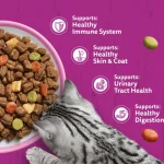 غذا خشک گربه بالغ ویسکاس طعم مرغ حاوی دانه های تشویقی وزن 1/9 کیلوگرم Whiskas Adult With Chicken - تصویر 4