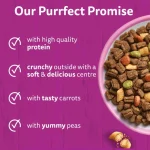 غذا خشک گربه بالغ ویسکاس طعم مرغ حاوی دانه های تشویقی وزن 1/9 کیلوگرم Whiskas Adult With Chicken - تصویر 5