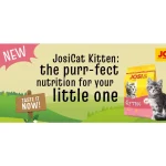 غذای خشک بچه گربه جوسی کت طعم مرغ مدل کیتن وزن 1 کیلوگرم (زیپ کیپ فله ای) Josicat Kitten - تصویر 6