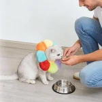 گردنبند الیزابت بالشتی گربه و سگ نژاد خیلی کوچک طرح رنگین کمان جنس مخمل نرم سایز XS ابعاد 18 سانتی متر - تصویر 6