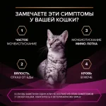 پوچ یورینری گربه پروپلن طعم مرغ وزن 85 گرم ProPlan UR Urinary - تصویر 8