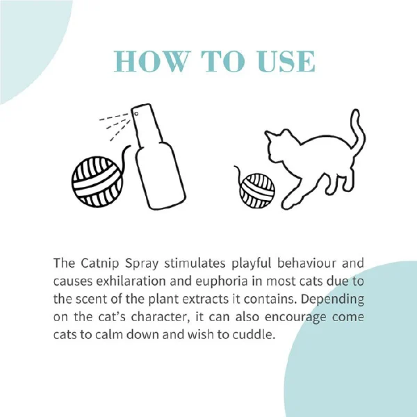 اسپری کت نیپ گربه بایولاین 50 میلی لیتر Catnip spray - Image 3