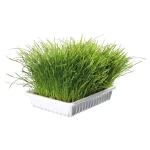 علف گربه تریکسی وزن 100 گرم Trixie Softgras - Image 2
