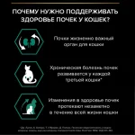 غذای خشک گربه بالغ پروپلن رنال پلاس طعم مرغ وزن 1 کیلوگرم (زیپ کیپ فله) ProPlan Adult Renal Plus - تصویر 4