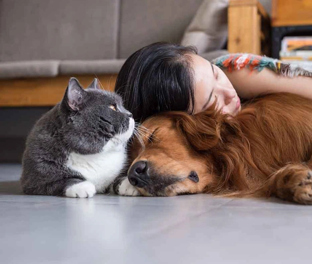 خمیر مولتی ویتامین سگ و گربه دکتر کلادرز 